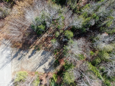 Buildable In-town Lot - image 2