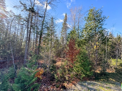 Buildable In-town Lot - image 10