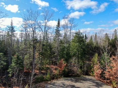 Buildable In-town Lot - image 5