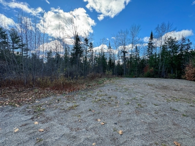 Buildable In-town Lot - image 12