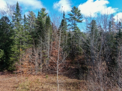 Buildable In-town Lot - image 6