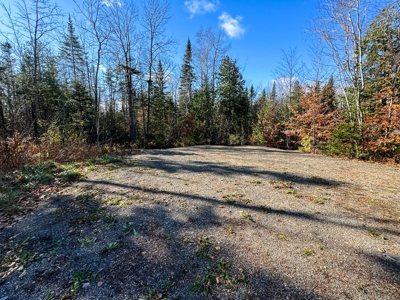 Buildable In-town Lot - image 7