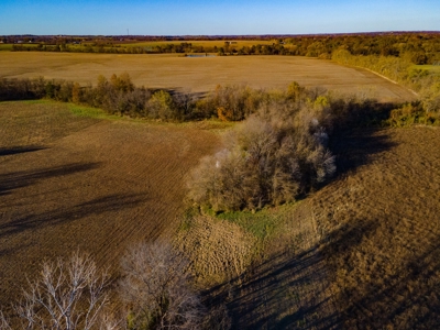 Land For Sale in Cass County, MO - image 11