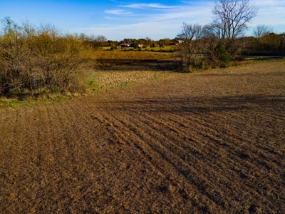 Land For Sale in Cass County, MO - image 21