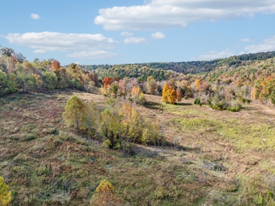 Farm For Sale In Tn, Barn, Creek, Pond, Shop, Hunting - image 49