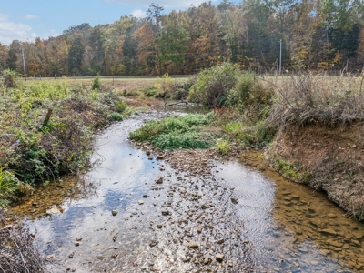 Farm For Sale In Tn, Barn, Creek, Pond, Shop, Hunting - image 45