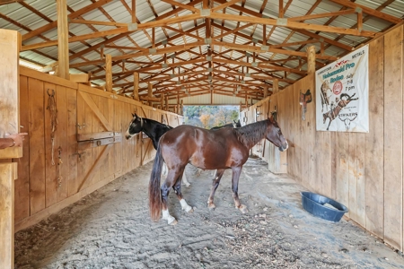 Farm For Sale In Tn, Barn, Creek, Pond, Shop, Hunting - image 31