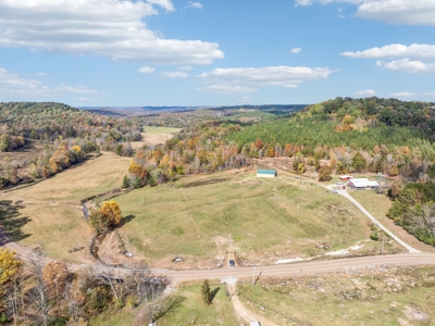 Farm For Sale In Tn, Barn, Creek, Pond, Shop, Hunting - image 39