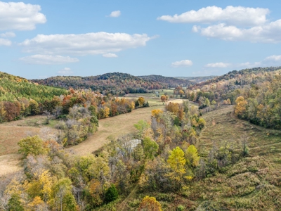 Farm For Sale In Tn, Barn, Creek, Pond, Shop, Hunting - image 50