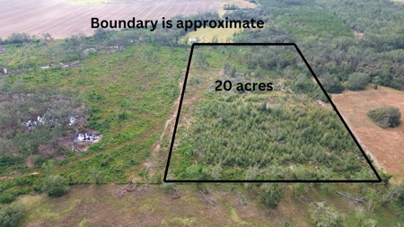 Land For Sale In Lafayette County!!! - image 6
