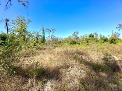 Land For Sale In Lafayette County!!! - image 1