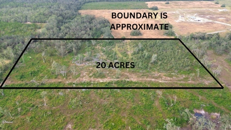 Land For Sale In Lafayette County!!! - image 7