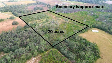 Land For Sale In Lafayette County!!! - image 4