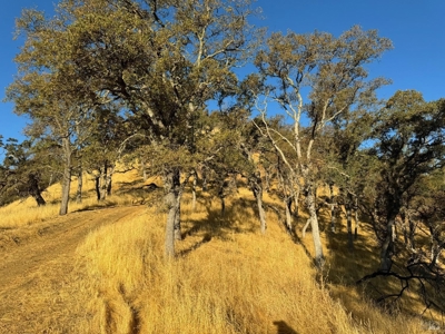Napa County Hunting & Recreational Property For Sale - image 34