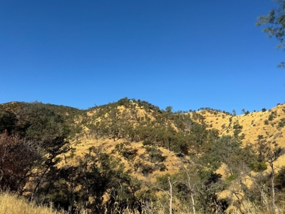 Napa County Hunting & Recreational Property For Sale - image 14