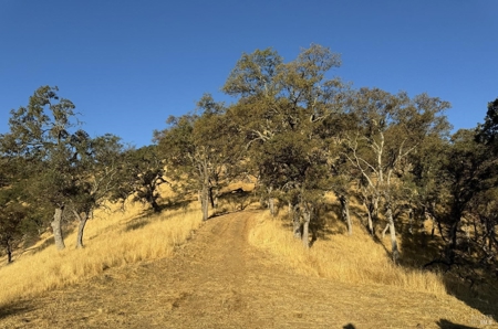 Napa County Hunting & Recreational Property For Sale - image 3