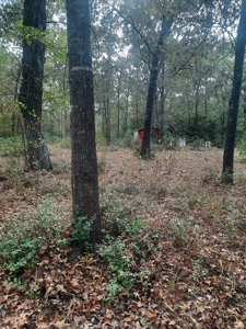 Country Acreage 17.33 Crockett, TX - image 3