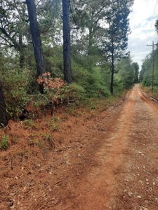 Country Acreage 17.33 Crockett, TX - image 25
