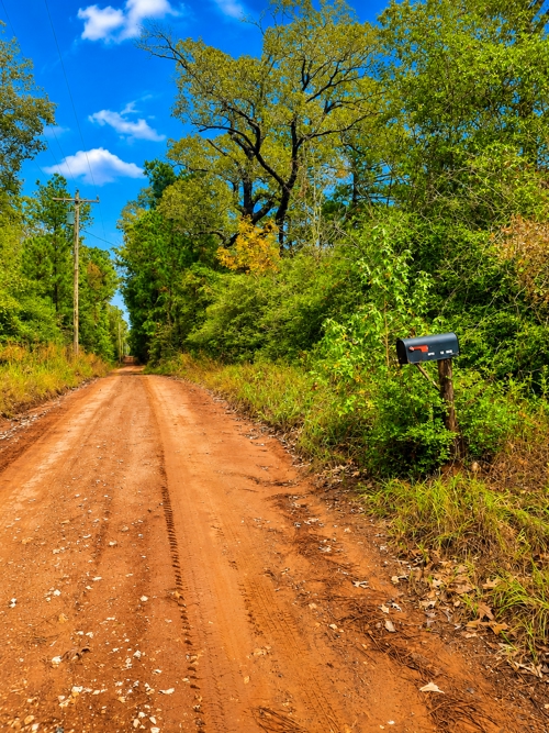 Land in East Texas for Sale Dirt Road Frontage 