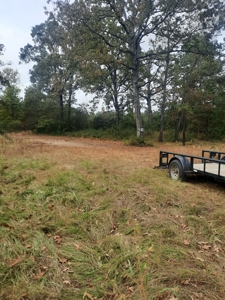 Country Acreage 17.33 Crockett, TX - image 22