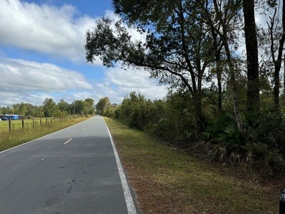 Acreage For Sale North Of Lake City Florida - image 4