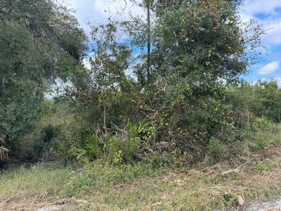 Acreage For Sale North Of Lake City Florida - image 10
