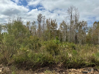 Acreage For Sale North Of Lake City Florida - image 14