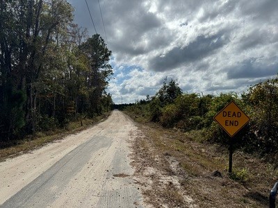 Acreage For Sale North Of Lake City Florida - image 8