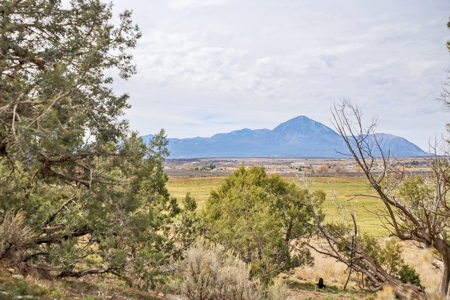 Home on Land For Sale in Cortez, CO - image 4