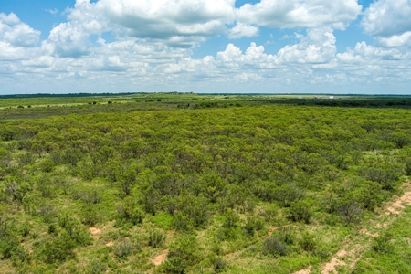 Ranch Recreational Land Archer County Texas - image 6