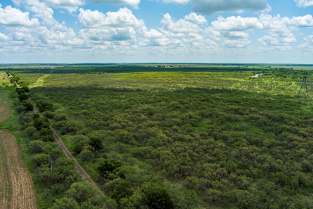 Ranch Recreational Land Archer County Texas - image 22