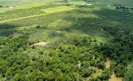 Ranch Recreational Land Archer County Texas - image 2