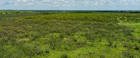 Ranch Recreational Land Archer County Texas - image 12