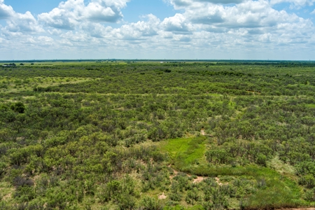 Ranch Recreational Land Archer County Texas - image 24
