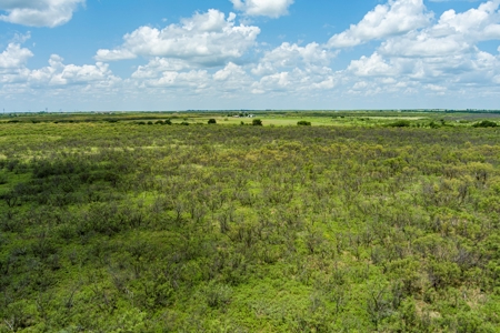 Ranch Recreational Land Archer County Texas - image 7