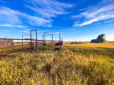 Webb Ranch: 7,758 Acres Of Cattle Grazing & Wildlife - image 22