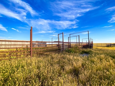 Webb Ranch: 7,758 Acres Of Cattle Grazing & Wildlife - image 21