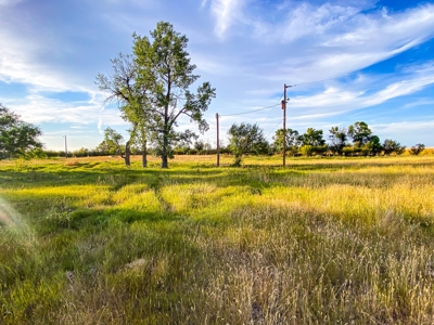 Webb Ranch: 7,758 Acres Of Cattle Grazing & Wildlife - image 13