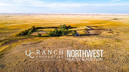 Webb Ranch: 7,758 Acres Of Cattle Grazing & Wildlife - image 31