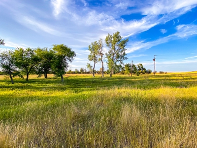 Webb Ranch: 7,758 Acres Of Cattle Grazing & Wildlife - image 12