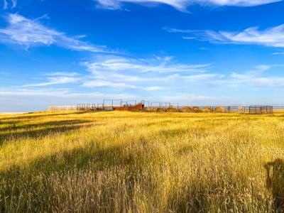 Webb Ranch: 7,758 Acres Of Cattle Grazing & Wildlife - image 9
