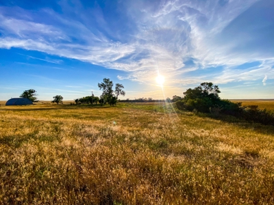 Webb Ranch: 7,758 Acres Of Cattle Grazing & Wildlife - image 26