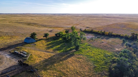 Webb Ranch: 7,758 Acres Of Cattle Grazing & Wildlife - image 39