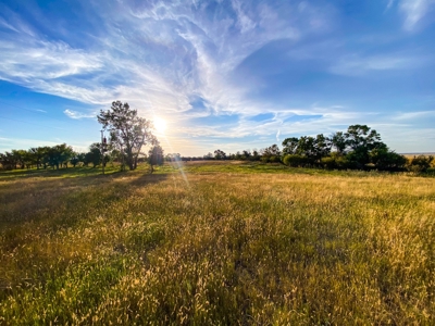 Webb Ranch: 7,758 Acres Of Cattle Grazing & Wildlife - image 19