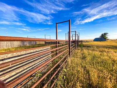 Webb Ranch: 7,758 Acres Of Cattle Grazing & Wildlife - image 23
