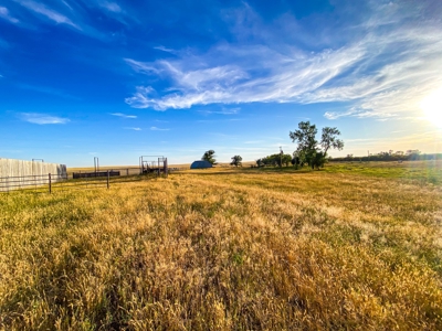 Webb Ranch: 7,758 Acres Of Cattle Grazing & Wildlife - image 28