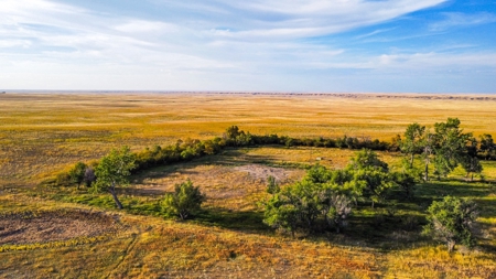 Webb Ranch: 7,758 Acres Of Cattle Grazing & Wildlife - image 4