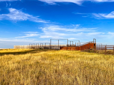 Webb Ranch: 7,758 Acres Of Cattle Grazing & Wildlife - image 15
