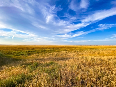Webb Ranch: 7,758 Acres Of Cattle Grazing & Wildlife - image 29