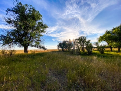 Webb Ranch: 7,758 Acres Of Cattle Grazing & Wildlife - image 11